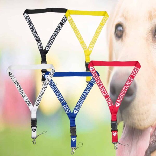 Assistance Dog Lanyard-Keychain in 5 color