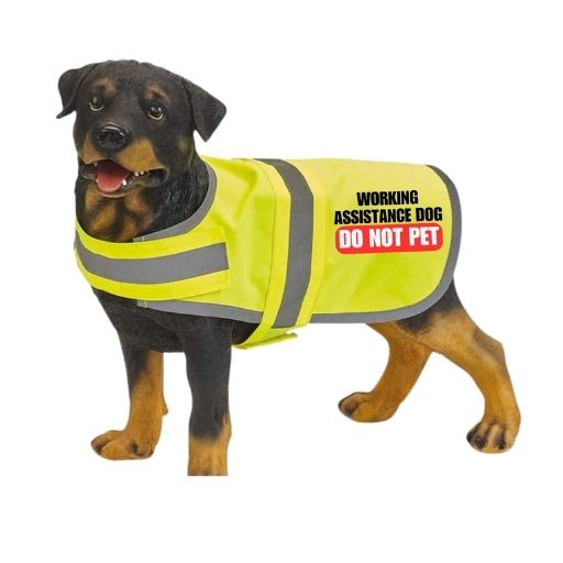 Assistance dog hi viz vest