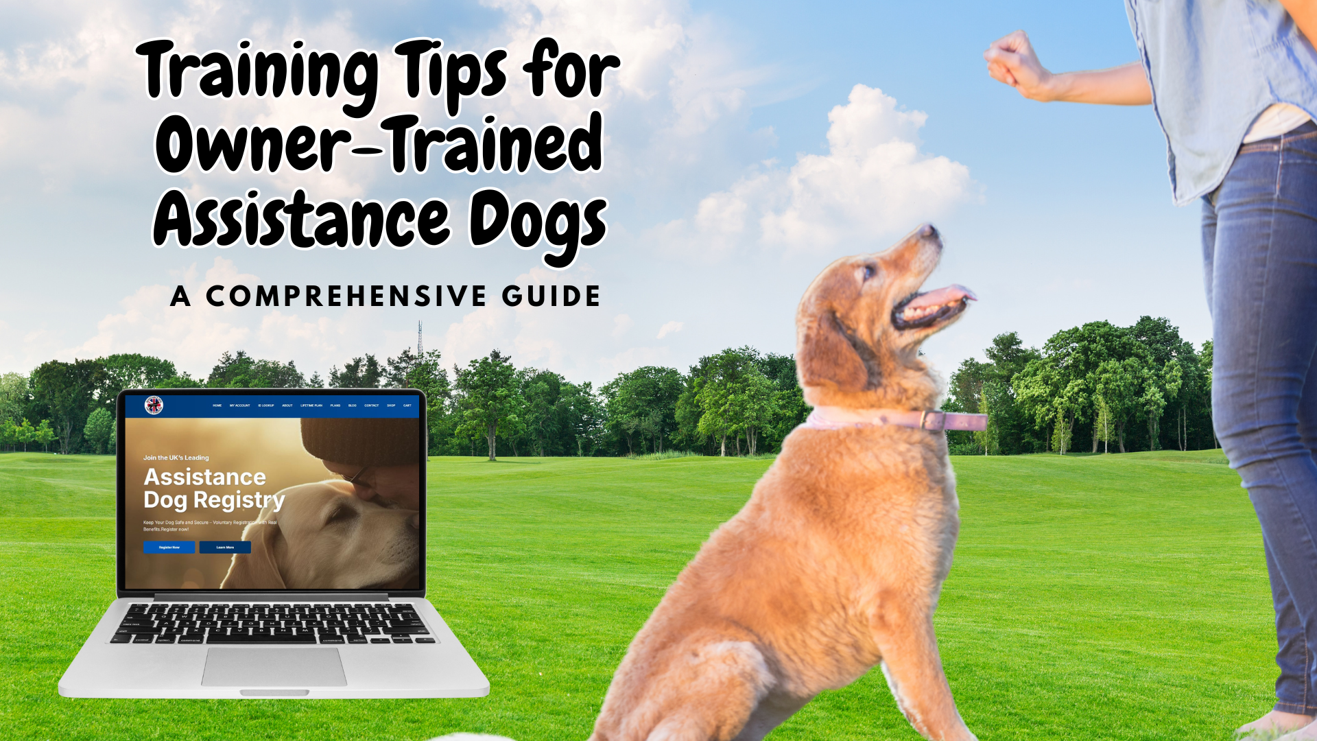 Training Tips for Owner-Trained Assistance Dogs: A Comprehensive Guide