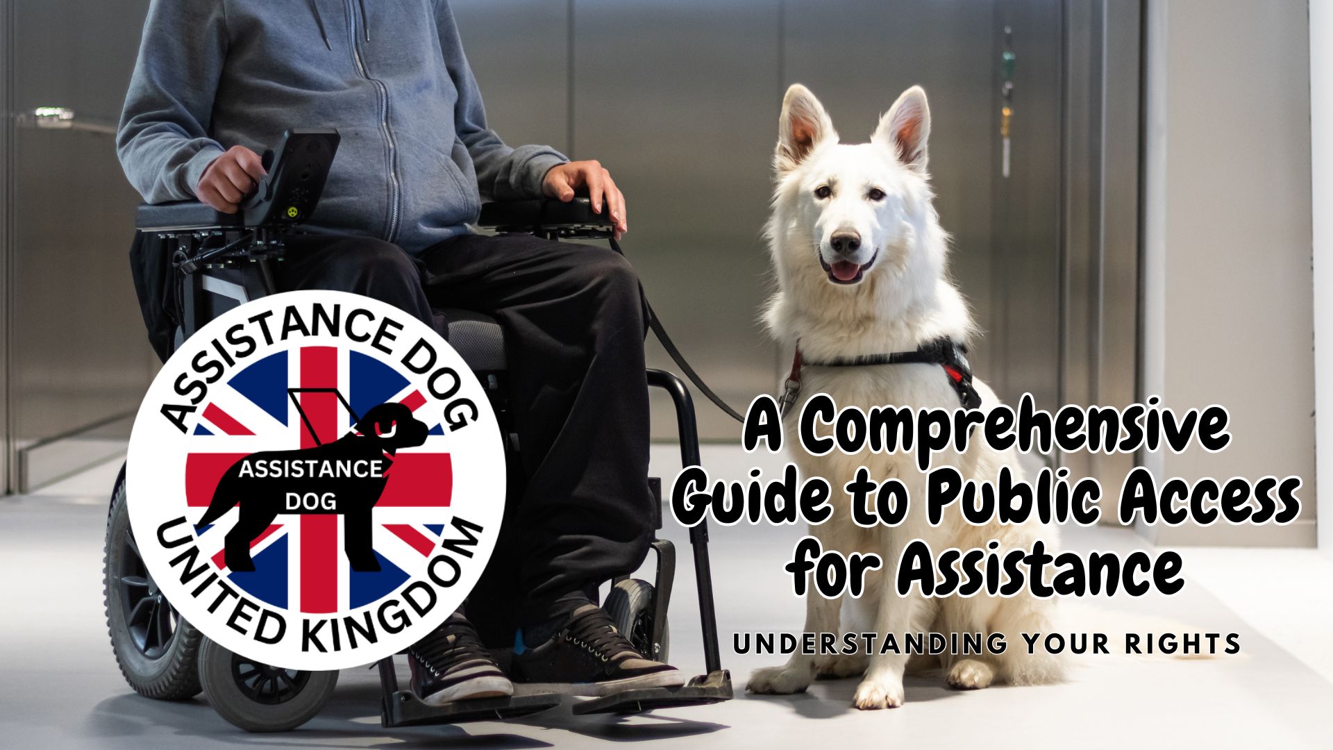 Empowering Handlers with Essential Knowledge