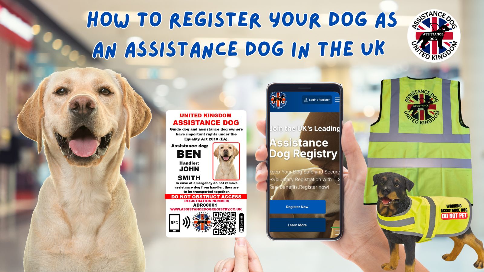 How to Register Your Dog as an Assistance Dog