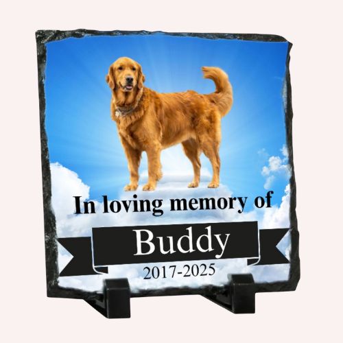 Personalised Pet Memorial Slate – 14x14cm Custom Cloud Tribute with Photo, Name & Years