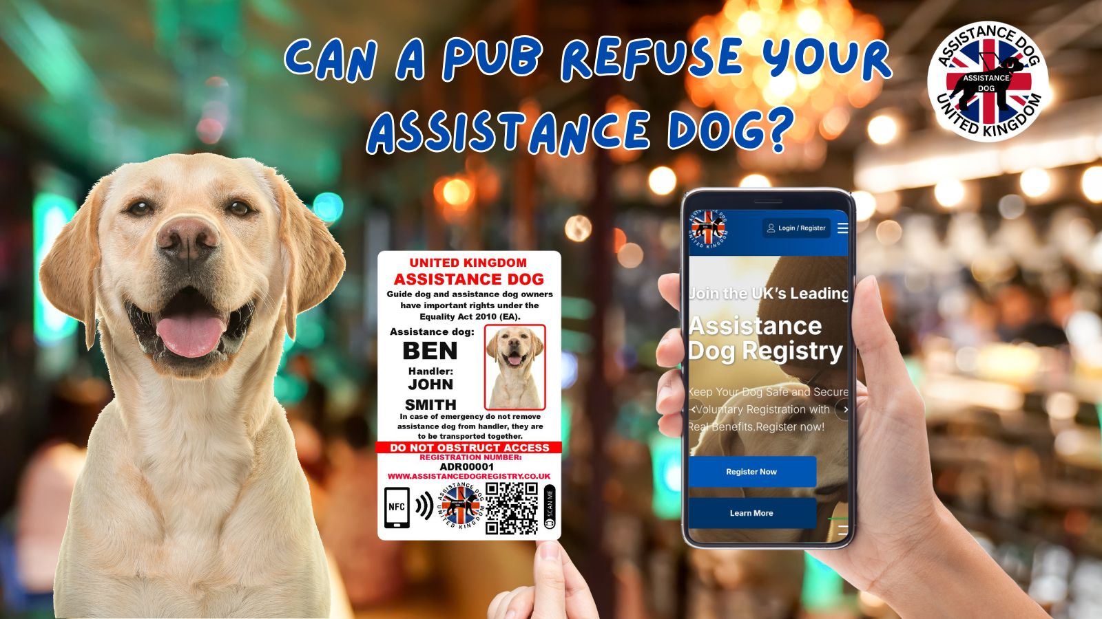 Can a Pub Refuse Your Assistance Dog? Why Wetherspoon's Policy May Be Illegal
