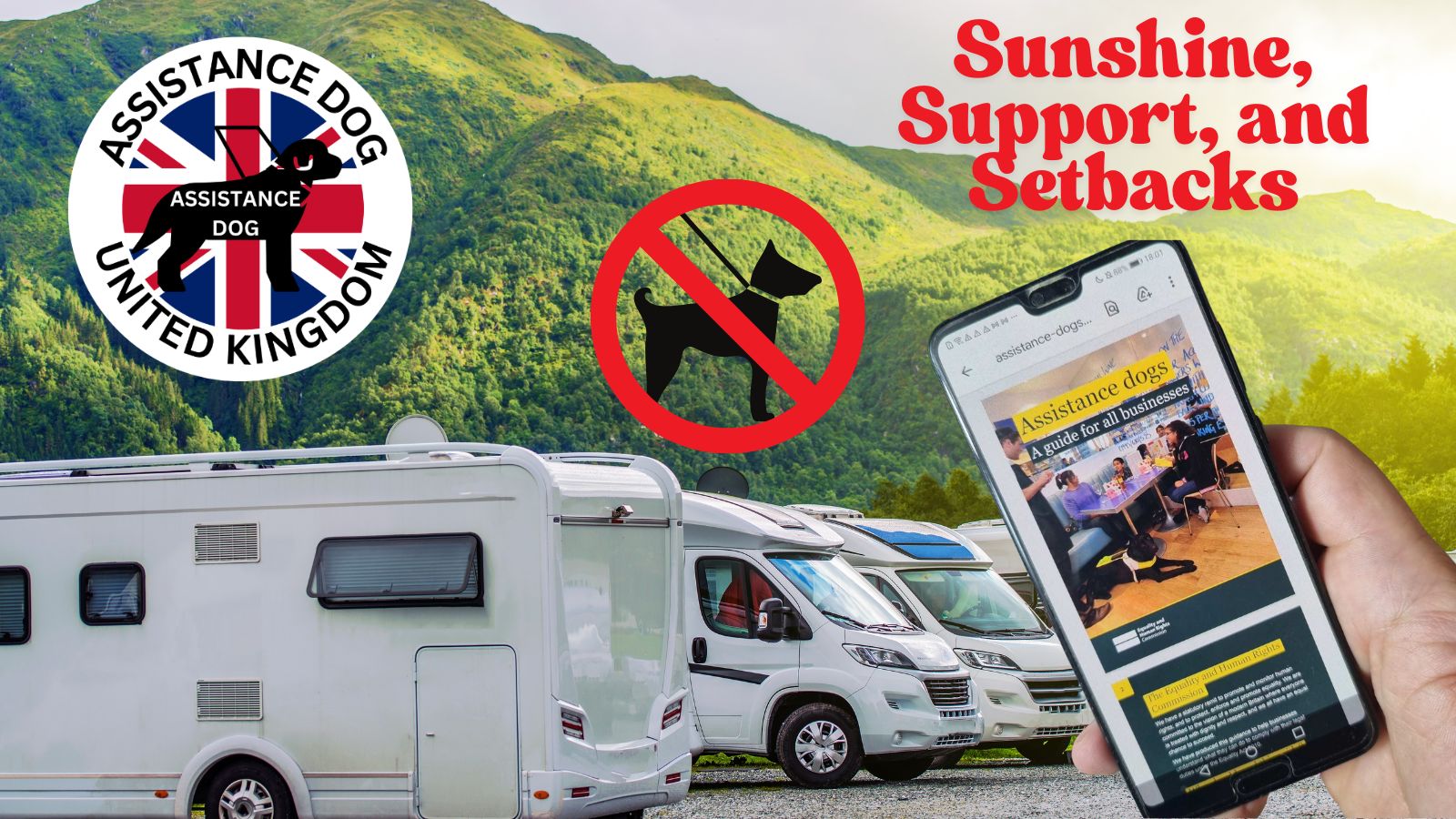 Sunshine, Support, and Setbacks: Where Are Assistance Dogs Still Being Refused?