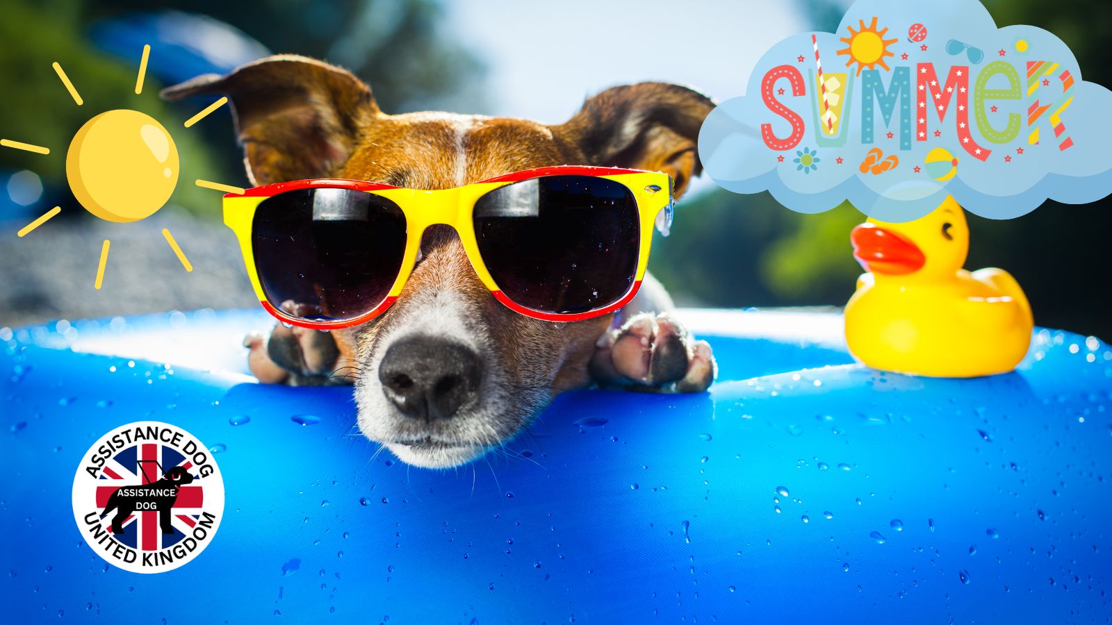 Assistance Dog Summer Safety Tips