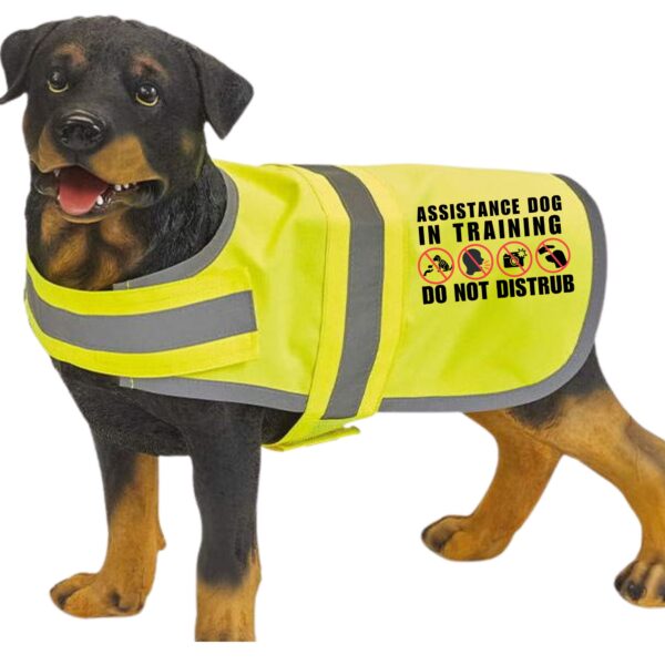 Assistance Dog In-Training Hi-Vis Reflective Vest