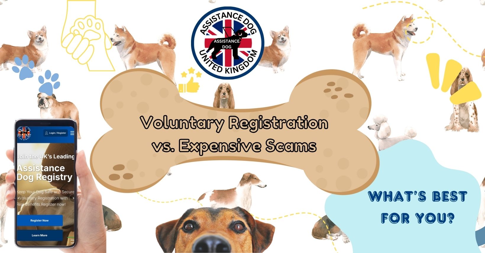 Assistance Dog Registration UK &ndash; Do You Need to Pay Thousands?