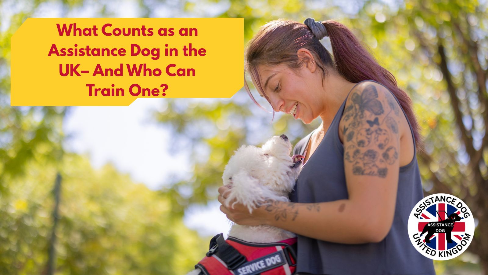 What Counts as an Assistance Dog in the UK &ndash; And Who Can Train One?